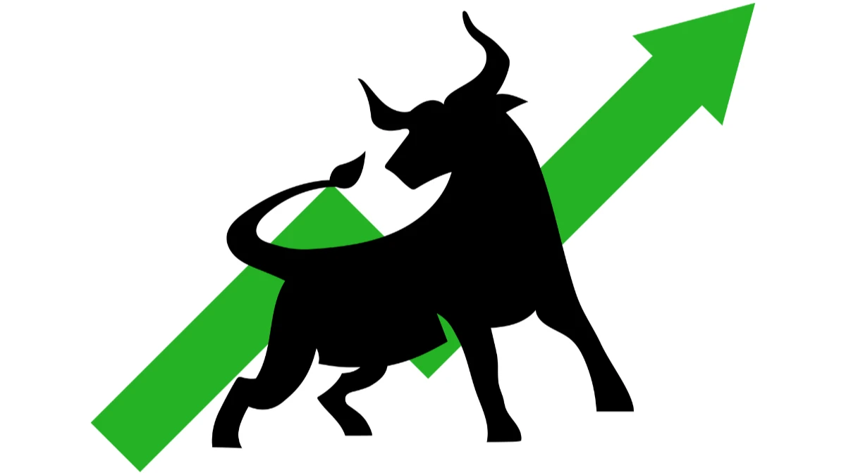 Options Payoff Analyzer